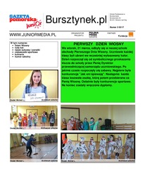 Bursztynek.pl